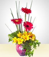 Flower Arrangements - Gerberas and Astromelias
