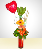 Congratulations - Gerberas Arrangement