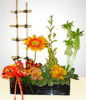 Garden Arrangement