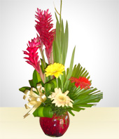 More Gifts - The perfect Flower Gift for Him