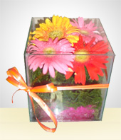 Arreglos Florales - La Cajita de Gerberas