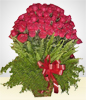Rosenfeuerwerk (rot): Gesteck aus 100 Rosen