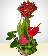 Alstroemerias - Bright and Cheery Anturios Bouquet