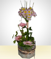 Gerbera daisies - Cheerful -Bouquet