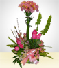 Premium Pink Rose Decadence