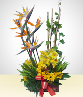 Arreglos Florales - Canasta Rstica