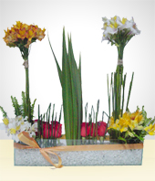 Alstroemerias - Spring Arrangement with Marble