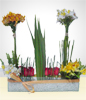Spring Arrangement with Marble