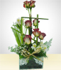 The Eight Roses Arrangement