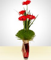 Flores - Cuarteto de Gerberas