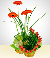 Gerbera daisies - Romantic Melodies Bouquet