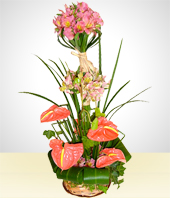 Flores - Primavera