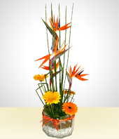 Wedding - Bird of Paradise & Gerberas