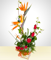 Roses - Wild Flowers Arrangement