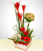 Flores - Brisa