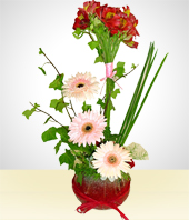 Flores - Dulzura