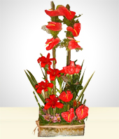 Flores - Anturios y Rosas