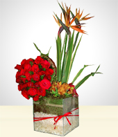 Flores - Rosas y Un Corazn