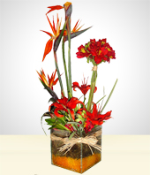 Arreglos Florales - Primavera del Paraso