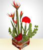 Paradise Carnations