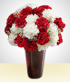 Christmas Arrangments - Merry Christmas Carnation Delight I