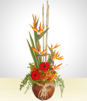 Flores - Tinaja Primaveral
