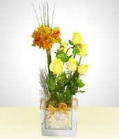 Flores - Arreglo Expresin