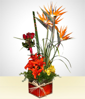 Flores - Arreglo Tropical II