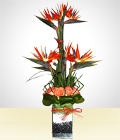 Flores - Arreglo Tropical III