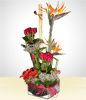 Expressive Arrangement