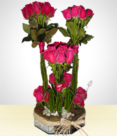 Flores - Expresin Total