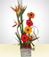 Arreglos Florales - Flores de Verano