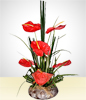 Allusive Arrangement