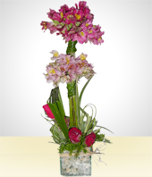 Blumen und Geschenke - Gesteck: Atemberaubende Alstromerien
