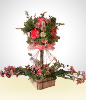 Flores - Esperanza