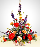 Flores - Celestial