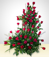 Flores - Emocin - 50 Rosas
