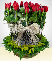 Flores - Lasos de Rosas