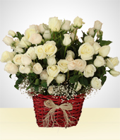 - Impact Champagne: Composition de 100 Roses Blanches