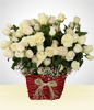 Champagne Impact: 100White Roses Arrangement