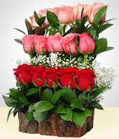 Rosas Multicolores - Cataratas de ensueo con 15 Rosas