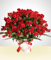 Flores - Wonderful  Red