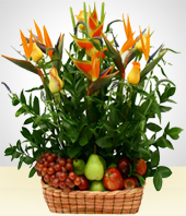 Blumen Gesteck - Gesteck: fruchtiger Naturalismus