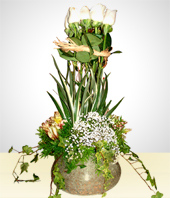 Rosas Blancas - Josefine