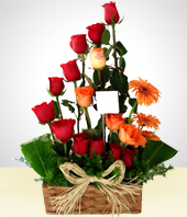 Flores - mpetu
