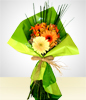 Gerbera Daisy Bouquet