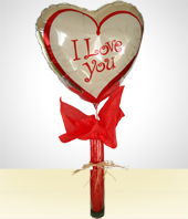 Globos y Peluches - Especial