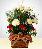 Blumen und Geschenke - Subtile Raffinesse aus Nelken