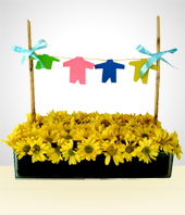 Flores - Baby