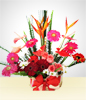 Floral Rainbow